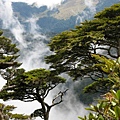 對面的雪山山頭