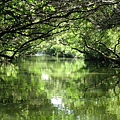 311_6966_r1 311_6966_r1