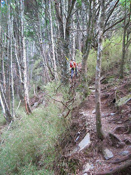 羊頭的山俓，0~3k實在很陡，下山更是難走..