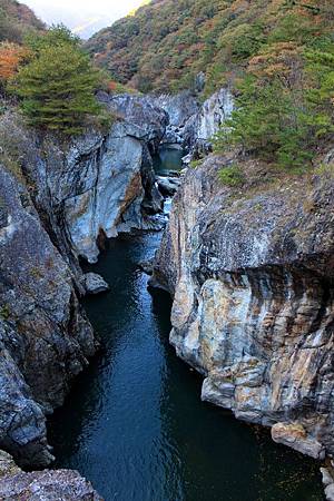 100_0828_r1.jpg 100_0828_r1.jpg