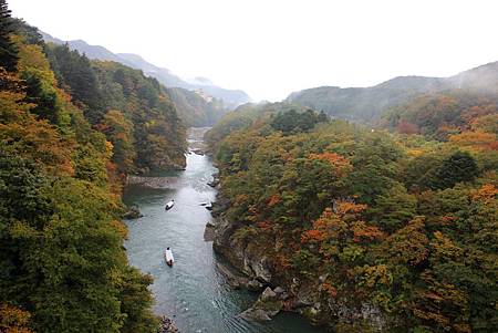 聽到遊客的尖叫聲，才想起方才泛的遊客會經過楯岩大吊橋...