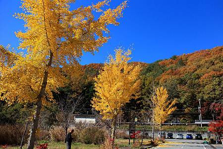 100_0920.JPG 100_0920.JPG