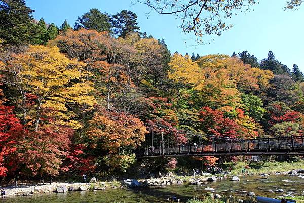 紅葉吊橋