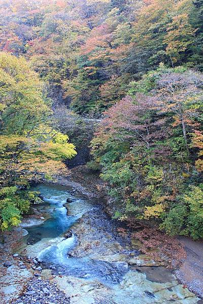 鹿股川