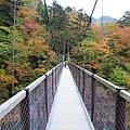 回顧吊橋