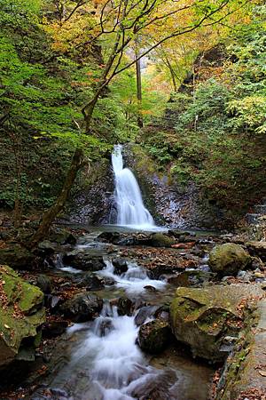 100_1262_r1.jpg 100_1262_r1.jpg