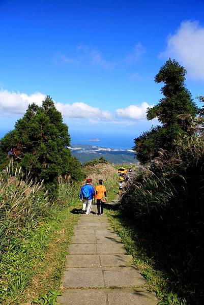 阿伯推薦的五分山步道 