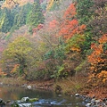 幸好雨勢不大