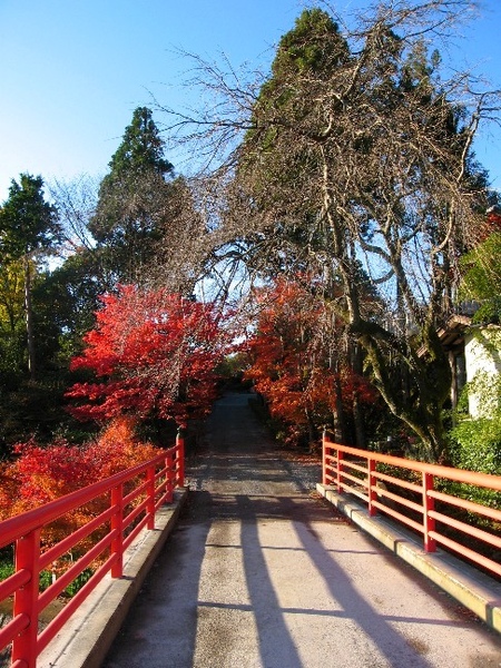 正法寺