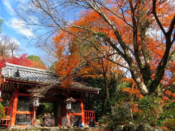 金藏寺