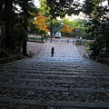 幽靜的寺院