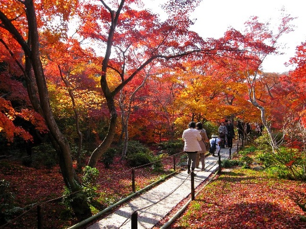 寶筐院