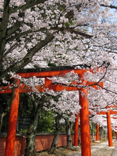 竹中稻禾神社