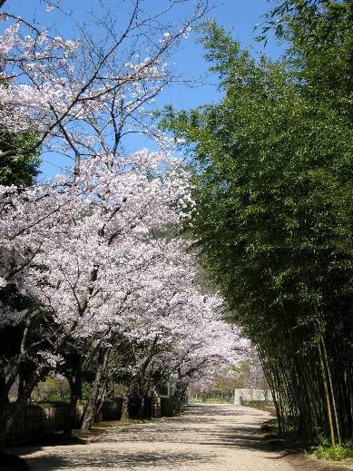 平安鄉