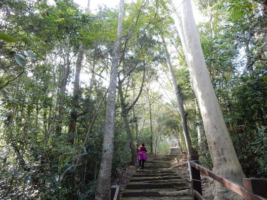 DSCN7859.JPG DSCN7859.JPG
