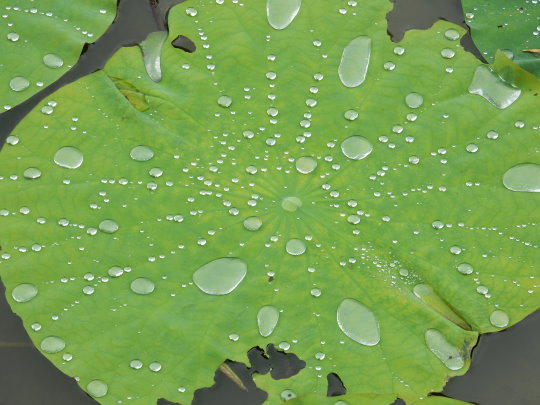 DSCN2757.JPG DSCN2757.JPG