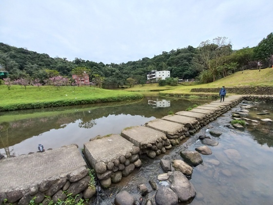 【台北內湖】內溝溪沿岸遇見粉紅櫻花林－112年1月台北過年旅