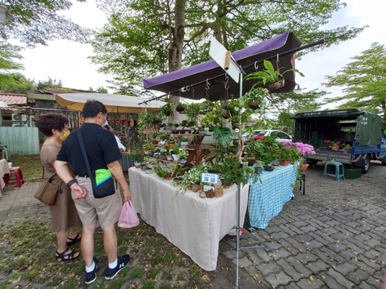 【南投草屯】秋日佐綠意的中興新村轆轆散步市集