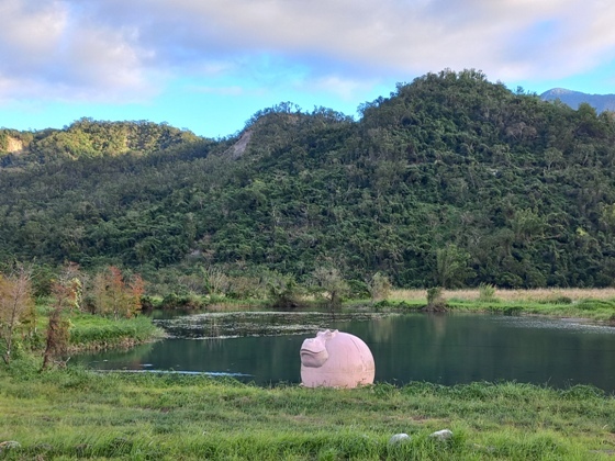 【台東】112年11月與媽媽、大姐的台東小旅行－一薌園美食、