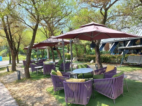 【嘉義大林】綠林環繞、舒心靜雅的「楓丹白露Café」—114