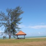 R0012537 (640x480).jpg R0012537 (640x480).jpg