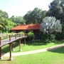 R0012551 (640x480).jpg R0012551 (640x480).jpg