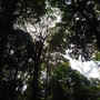 R0012690 (480x640).jpg R0012690 (480x640).jpg