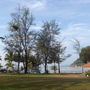 R0012785 (640x480).jpg R0012785 (640x480).jpg