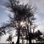 R0012797 (480x640).jpg R0012797 (480x640).jpg