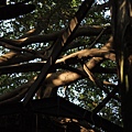 2013-03-06 17:32:36