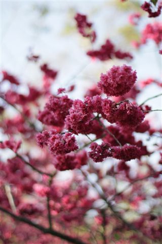 照片 004.jpg