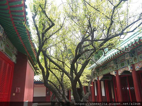 2019.07.07-15延平郡王祠.JPG