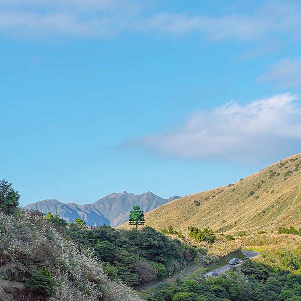 台北 北投區 陽明山(冷水坑、小油坑) 芒草季 10.jpeg