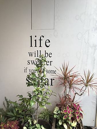 IMG_3216.JPG IMG_3216.JPG