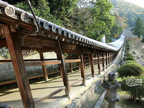 17秋 岡山 吉備津神社相遇600年金黃銀杏 360米跑不到盡頭的迴廊 甜心路1019號 痞客邦