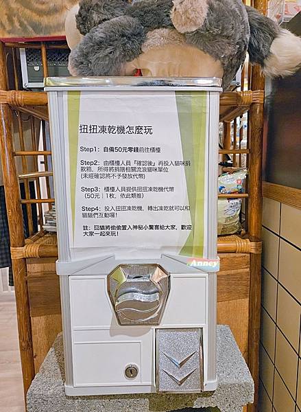 囧貓苑子 貓咖啡廳 CAT CAFE 享受美食也能盡情吸貓、