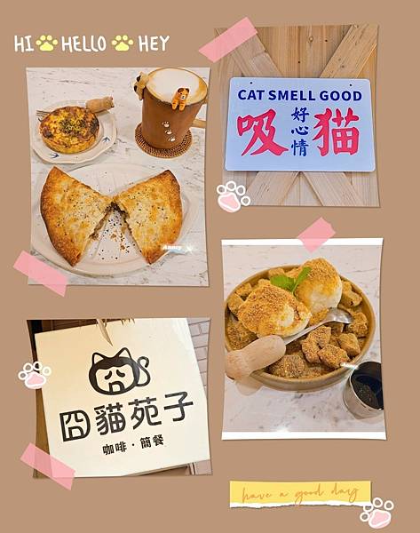 囧貓苑子 貓咖啡廳 CAT CAFE 享受美食也能盡情吸貓、