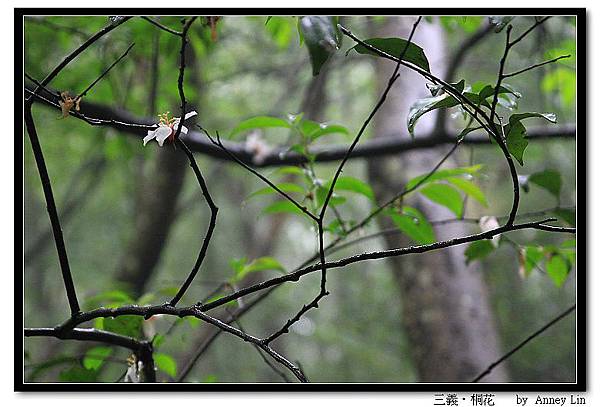 nEO_IMG_IMG_5074a.jpg