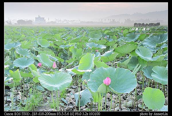 nEO_IMG_IMG_5265d.jpg