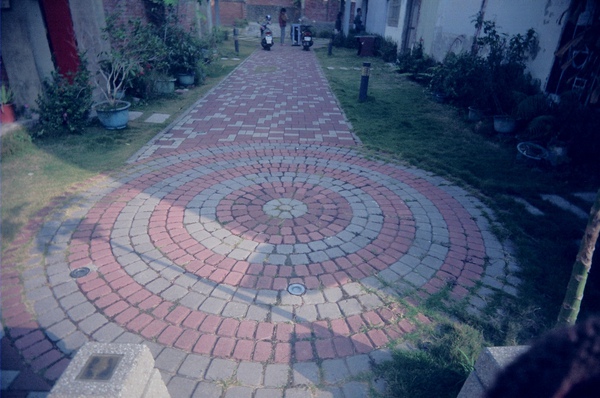 37850012.JPG