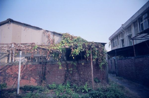 37850021.JPG
