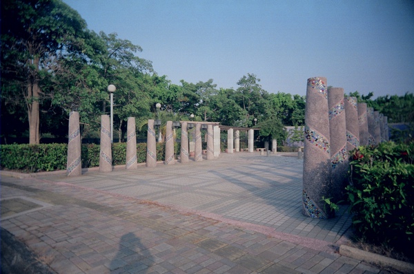 37850024.JPG