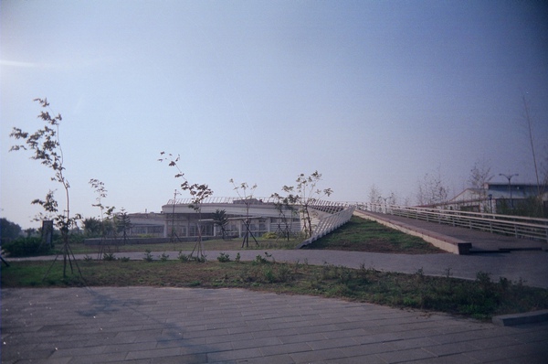 37850035.JPG