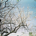 000031.JPG