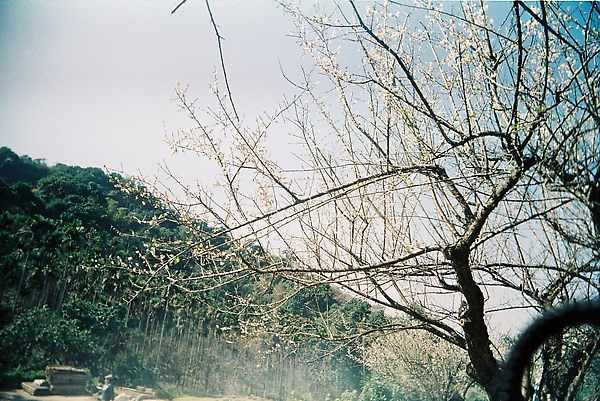 000032.JPG