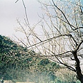 000032.JPG