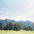 武陵四秀