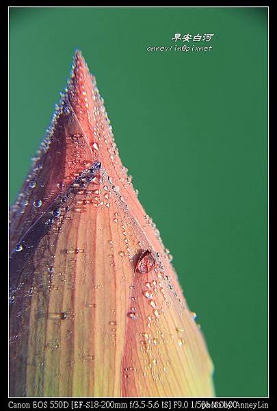 nEO_IMG_IMG_5449.jpg