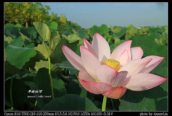 nEO_IMG_IMG_5526.jpg
