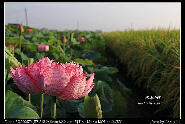 nEO_IMG_IMG_5471.jpg